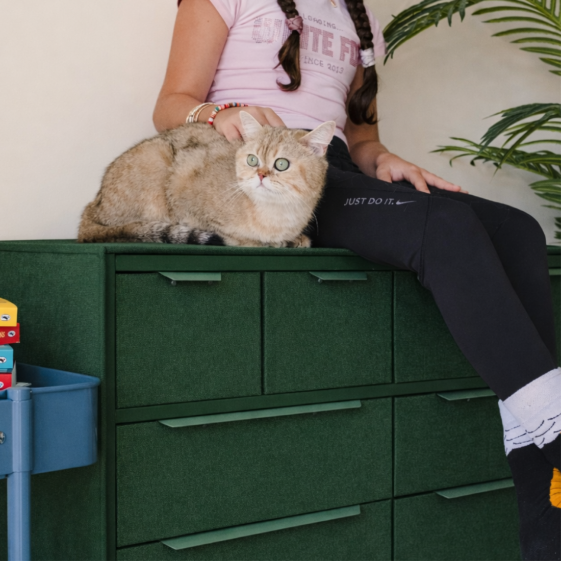 Closet System Alternatives for Renters