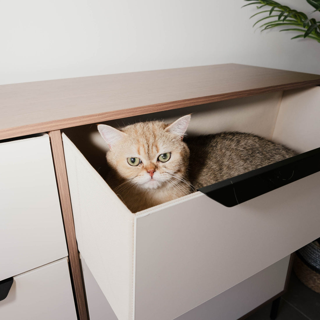 How to Clean a Fabric Dresser Without Soaking the Drawers