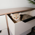 Lira - 6 drawers